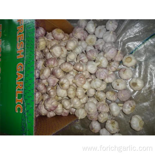 Buy 2019 New Normal White Garlic